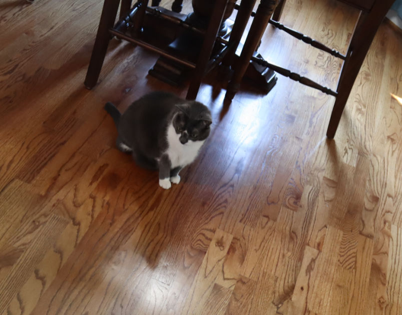 Sophie in Kitchen