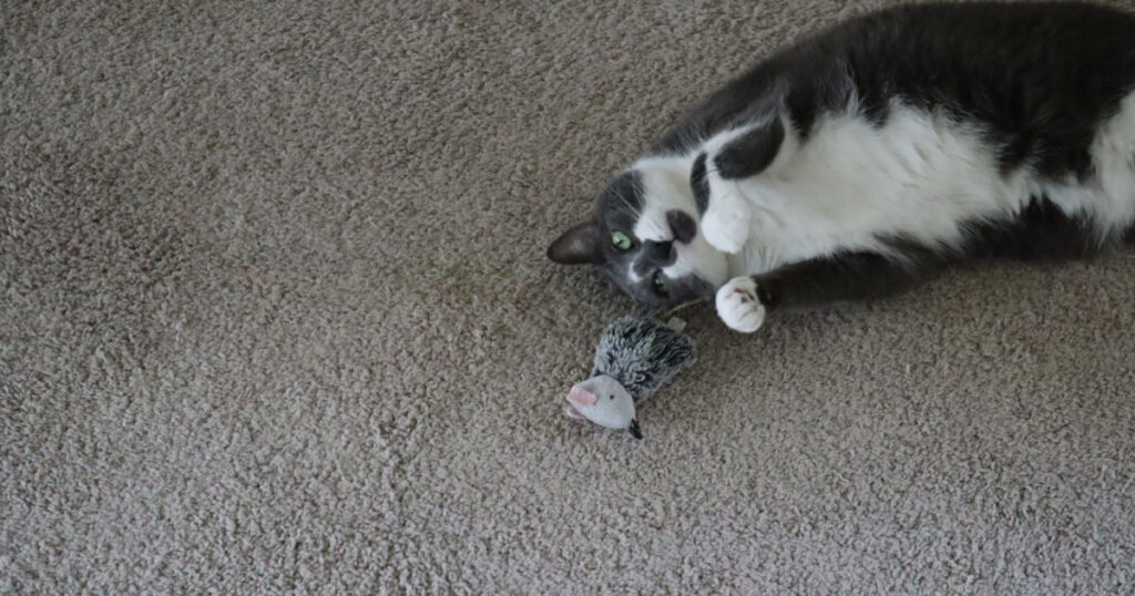 Sophie with Mousey